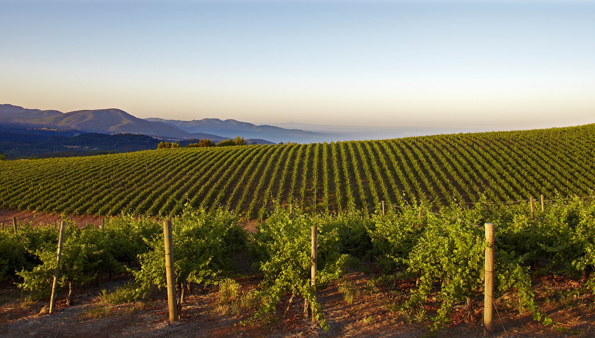 Jackson family wines wine dinner sea breeze fish market grill